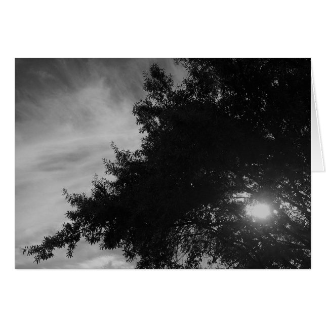 Cartão A brilhar (Frente Horizontal)