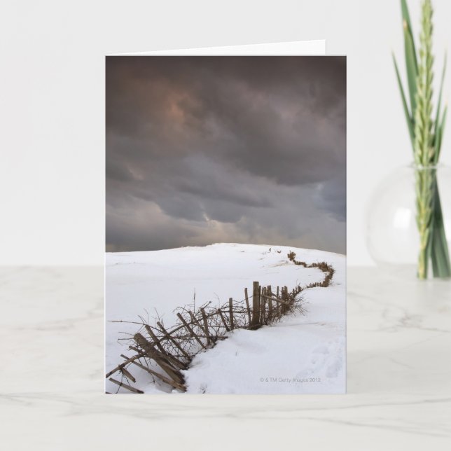 Cartão A Broken Fence (Frente)