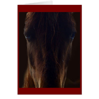 Cartão A carta do cavalo negro