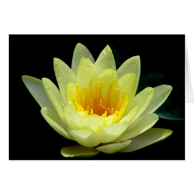 Cartão A Casa de Verão Frederick Vanderbilt #16 (Frente Horizontal)