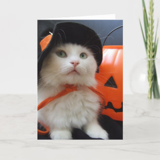 Cartão A Cat's Halloween