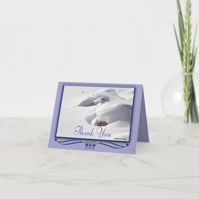 Cartão A Cena De Inverno Venta-Se Sobre As Rochas Obrigad (Frente)