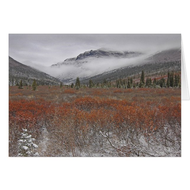 Cartão A chegada do inverno (Frente Horizontal)