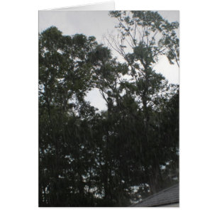 Cartão A chuva da chuva parte