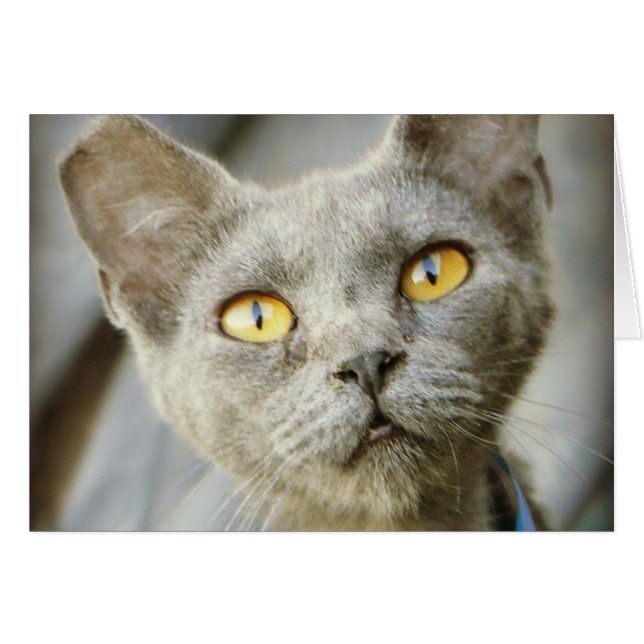 Cartão A Cinza Jean da Última Esperança (Frente Horizontal)