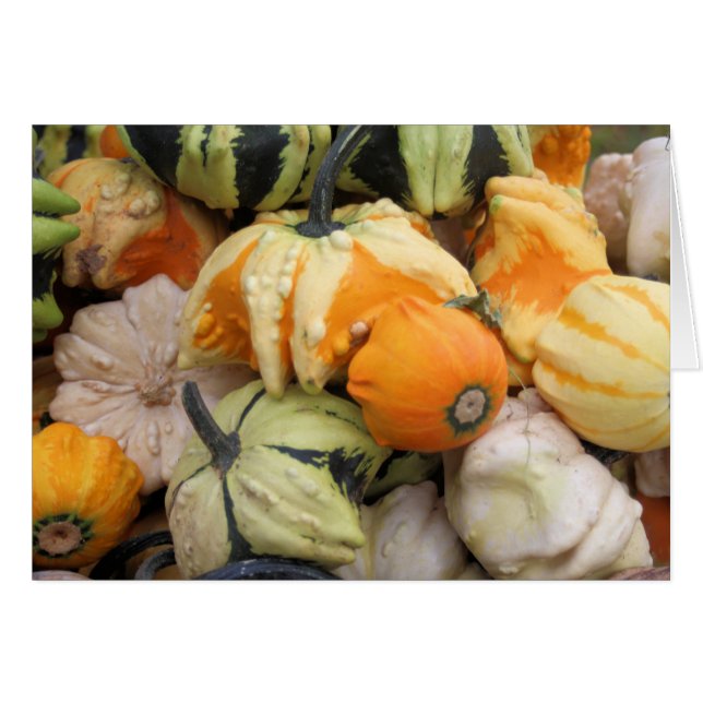 Cartão A colheita (Frente horizontal)