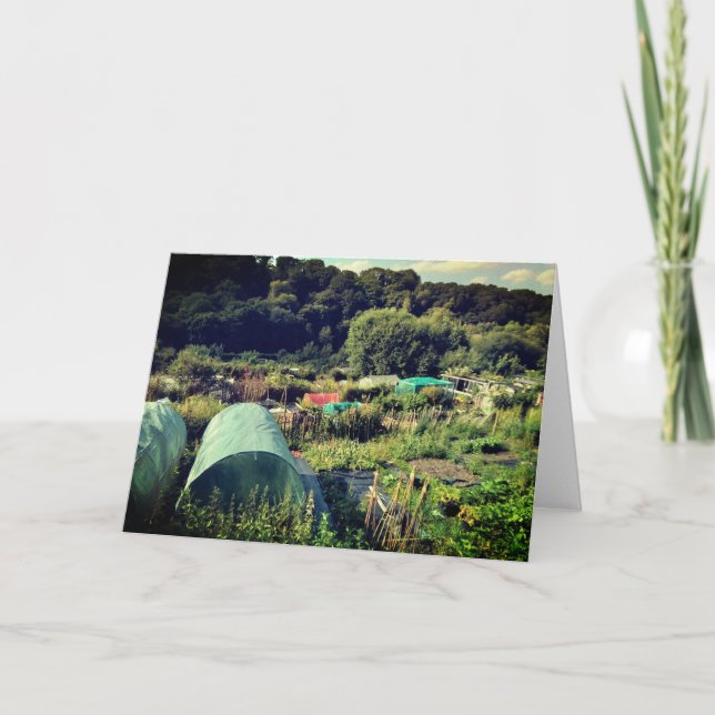 Cartão A Colocação (Frente)