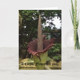 Cartão A Corpse Flower for you..