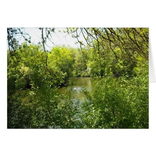 Cartão A cottage tucked away (Frente Horizontal)