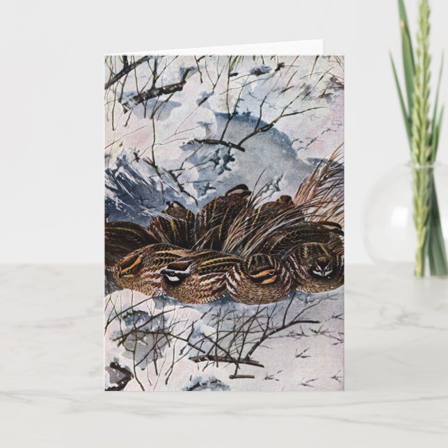 Cartão A Covey of Bobwhites (Frente)