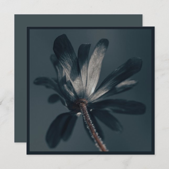 Cartão A Deliciosamente Escura Flor (Frente/Verso)