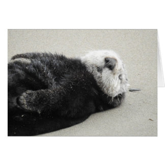 Cartão A dreaming sea otter
