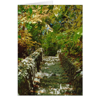 Cartão A Escada Verde