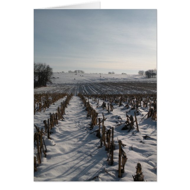 Cartão A esperança salta eterno (Frente)