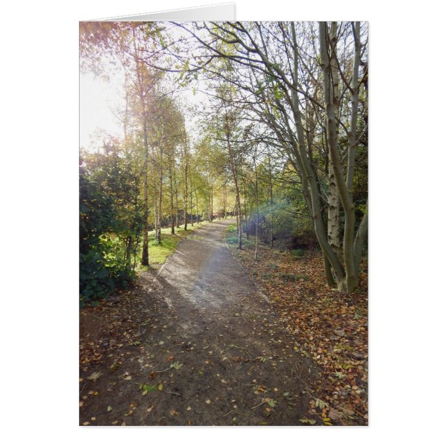 Cartão A estrada bonita (Frente)