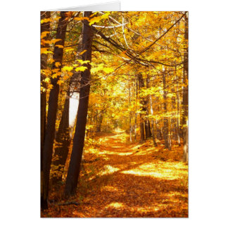 Cartão A Estrada Não Tomada