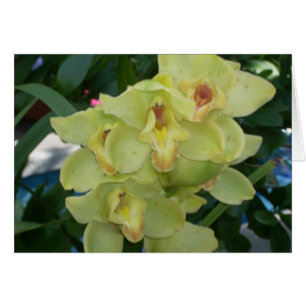 Cartão A estufa floresce quatro