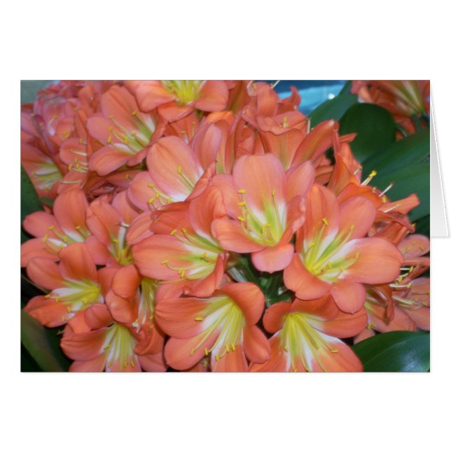 Cartão A estufa floresce um (Frente Horizontal)