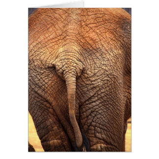 Cartão A extremidade