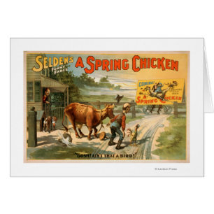 Cartão A farsa engraçada de Selden, um jogo da galinha d