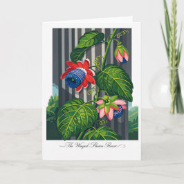 Cartão A Flor de Passionária Alada — Reinterpretação Botâ