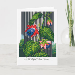 Cartão A Flor de Passionária Alada — Reinterpretação Botâ