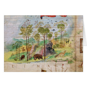 Cartão A floresta canadense