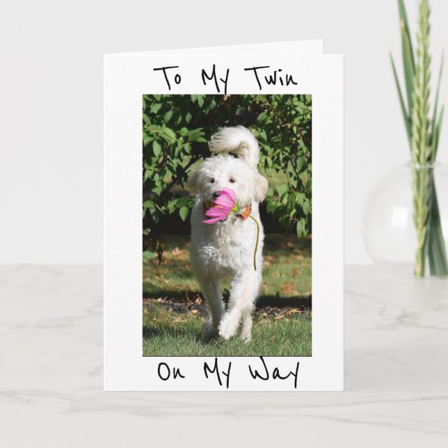 CARTÃO A FLOWER AND BIRTHDAY WISH FOR MY ***TWIN*** (Frente)