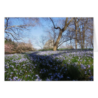 Cartão A glória do Primavera—cartão