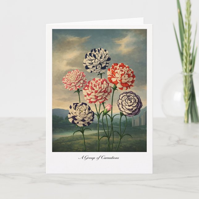 Cartão A Group of Carnations — Modern Botanical Reinterpr (Frente)