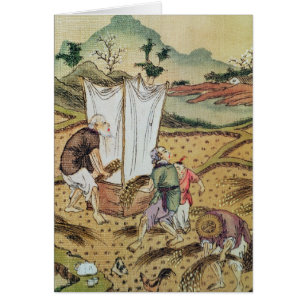 Cartão A história do arroz