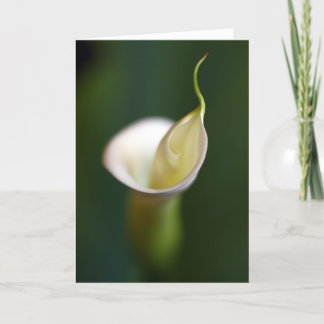 Cartão A lady in white