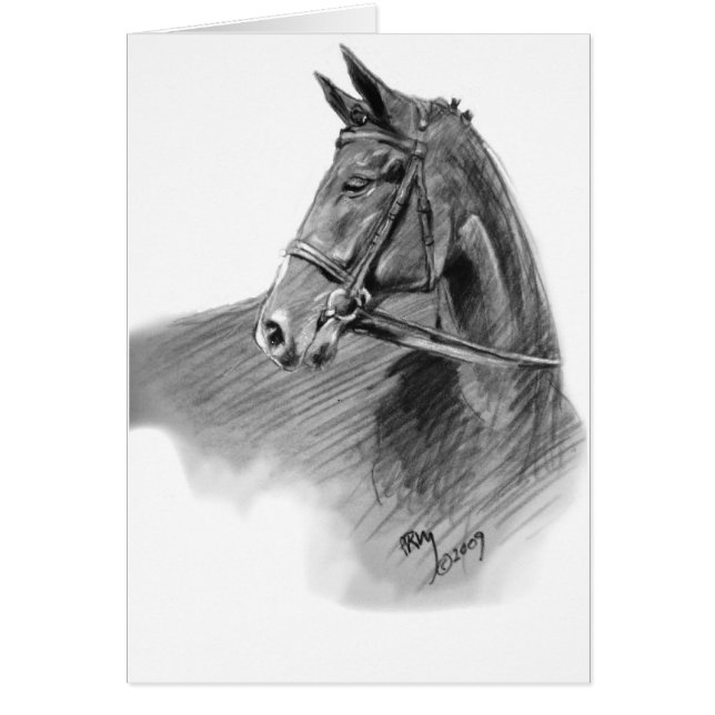 Cartão "A ligação em ponte " (Frente)