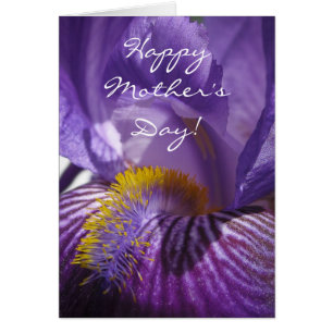 Cartão A língua das íris