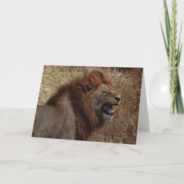 Cartão A Lion's Roar Greeting Card (Frente)