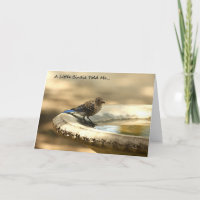 A Little Birdie Told Me... Get Well Card