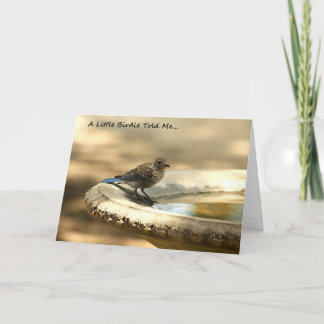Cartão A Little Birdie Told Me... Get Well Card