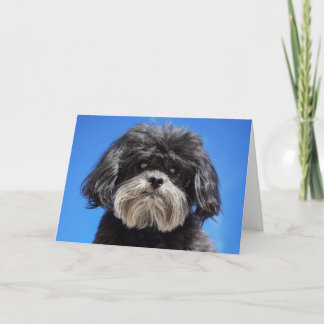 Cartão A Little Love