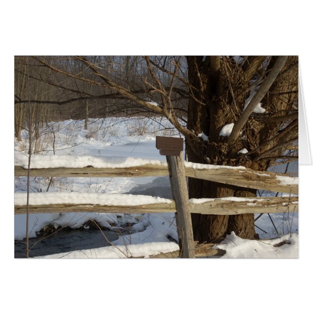 Cartão A lixeira no inverno (Frente Horizontal)