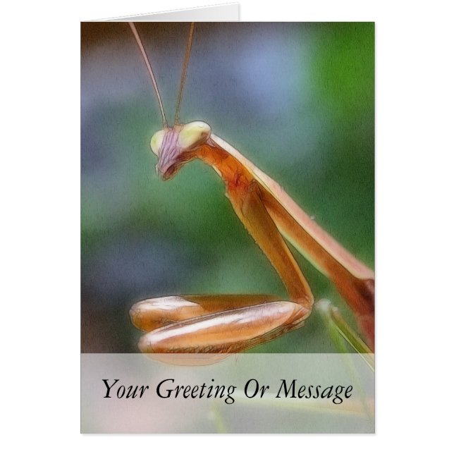 Cartão A Louvora Mantis (Frente)