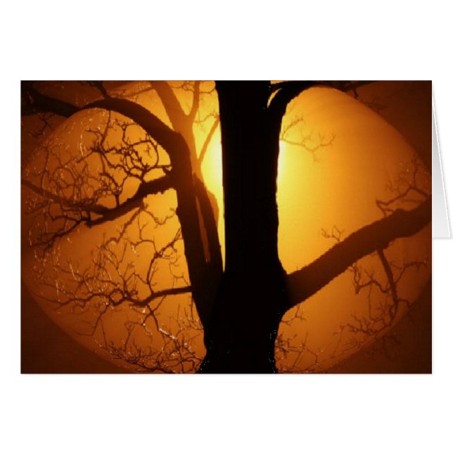 Cartão A Lua de outono brilhando através da árvore (Frente Horizontal)