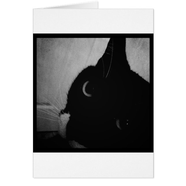 Cartão A Lucy está louca. (Frente)