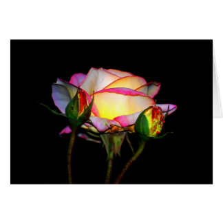 Cartão A luz dentro