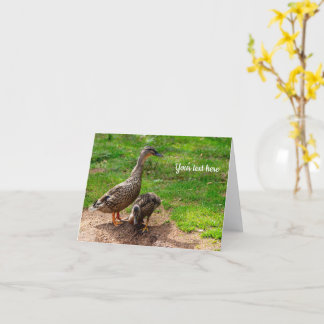 Cartão A Mallard Duck and her Duckling Greeting card