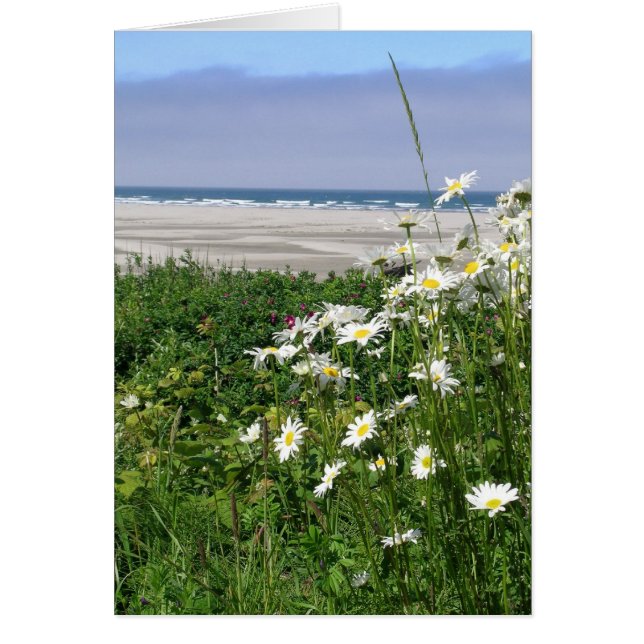 Cartão "A margarida do oceano de Verão" (Frente)