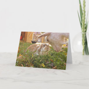 Cartão A Meeting of the Minds Greeting Card
