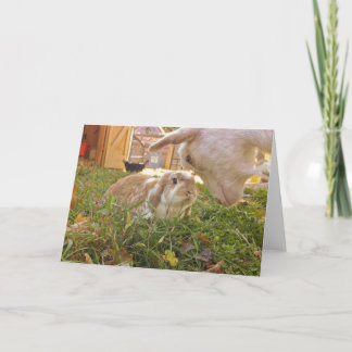 Cartão A Meeting of the Minds Greeting Card