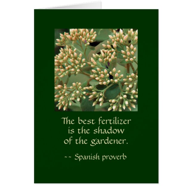 Cartão A melhor sombra fertilizante do jardineiro. IG BB (Frente)