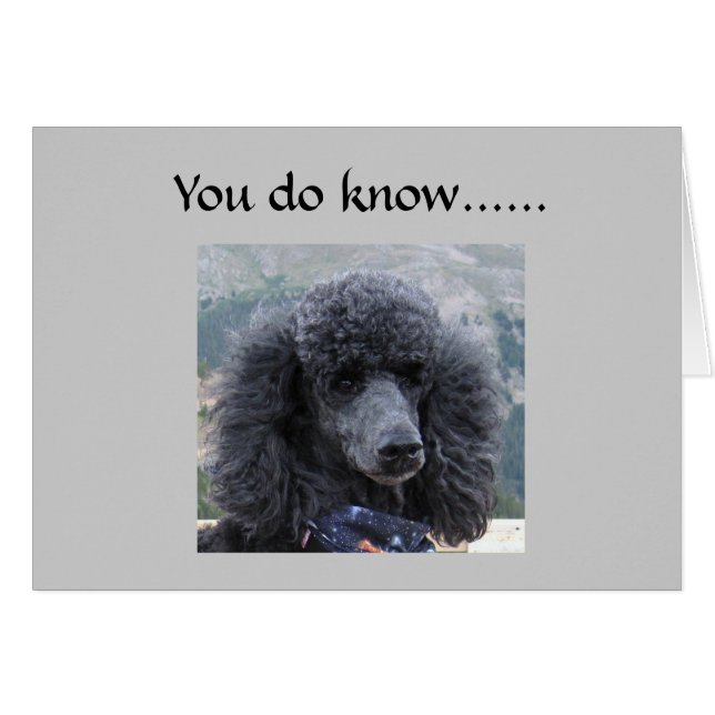 CARTÃO A MENTIRA É INACEITÁVEL=40º HUMOR (Frente Horizontal)