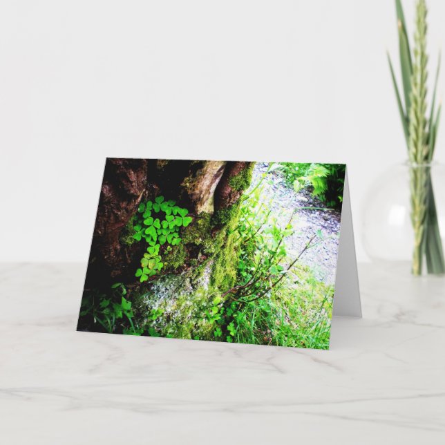 Cartão A Monks Shamrocks (Frente)